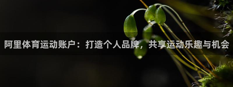 betway西汉姆官网
