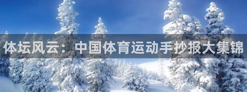 betway西汉姆：体坛风云：中国体育运动手抄报大集锦