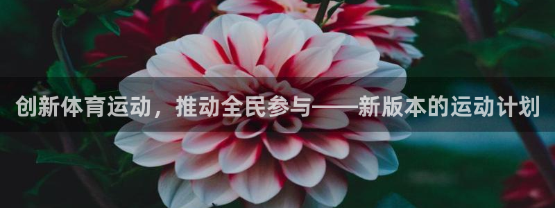 betway西汉姆官网：创新体育运动，推动全民参与——新版本的运动计划