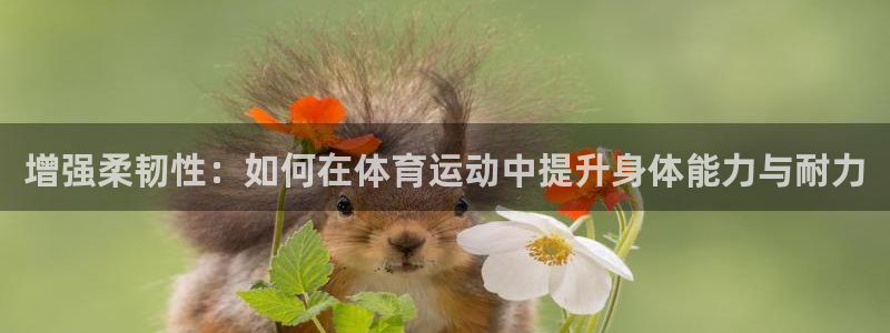 betway西汉姆联官网：增强柔韧性：如何在体育运动中提升身体能力与耐力