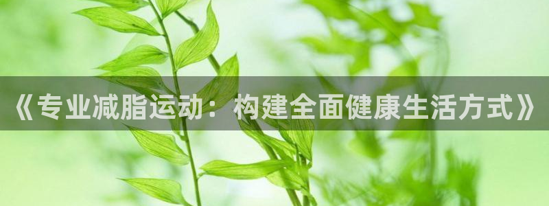 betway西汉姆联：《专业减脂运动：构建全面健康生活方式》