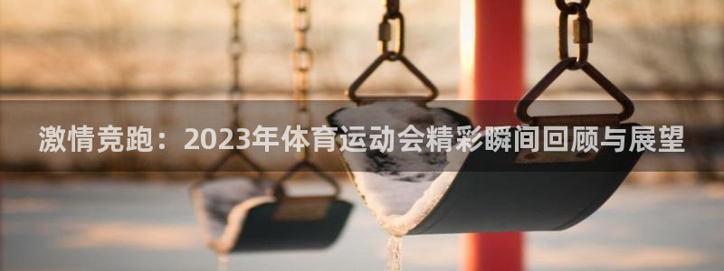 betway西汉姆联官网：激情竞跑：2023年体育运动会精彩瞬间回顾与展望