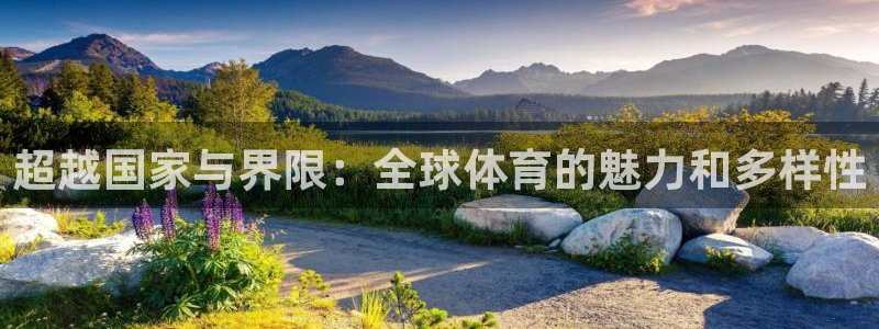 betway西汉姆联官网：超越国家与界限：全球体育的魅力和多样性