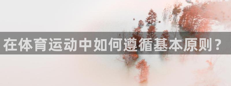 betway西汉姆：在体育运动中如何遵循基本原则？