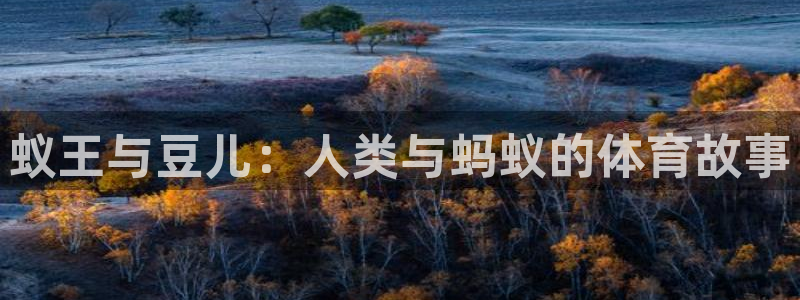 betway西汉姆联：蚁王与豆儿：人类与蚂蚁的体育故事