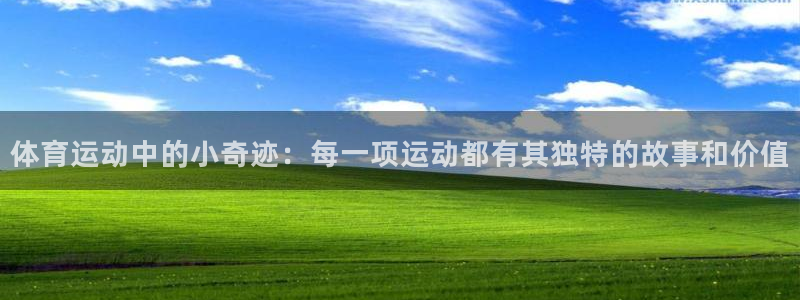 betway西汉姆联：体育运动中的小奇迹：每一项运动都有其独特的故事和价值