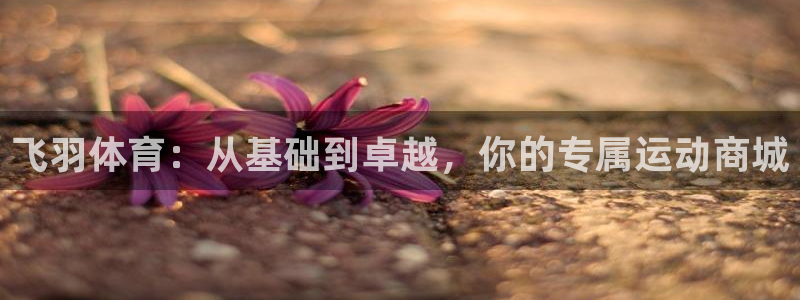 必威betway西汉姆联：飞羽体育：从基础到卓越，你的专属运动商城