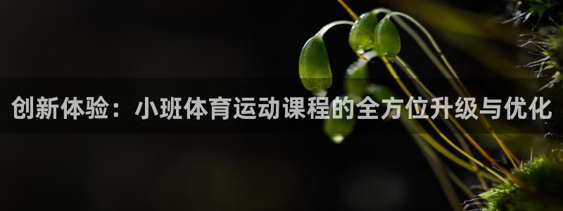 betway西汉姆：创新体验：小班体育运动课程的全方位升级与优化